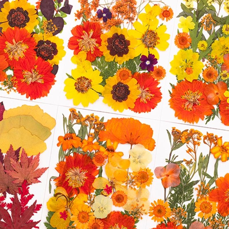 Art Craft Leaves - Reçine Kalıpları için Kurutulmuş Preslenmiş Çiçek