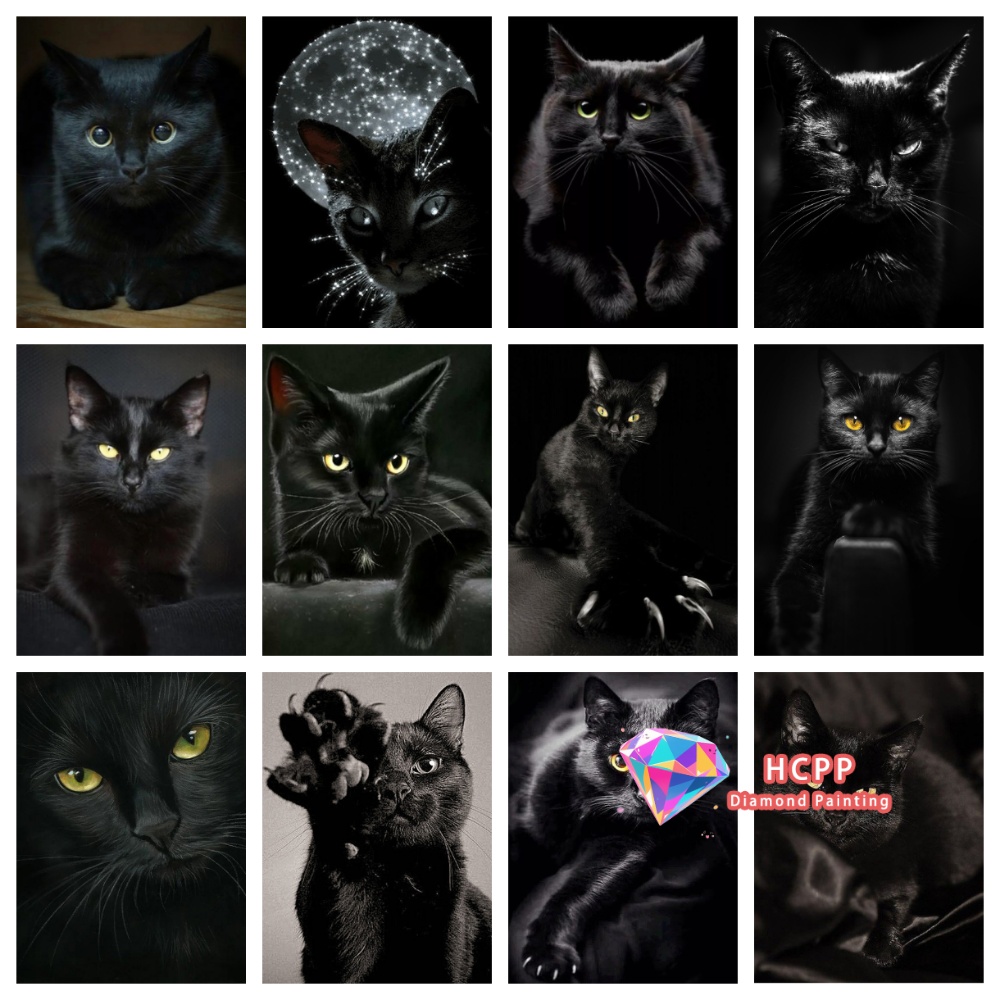 Art Craft Cat - Çerçevesiz Siyah Kedi Hayvan Elmas Boyama
