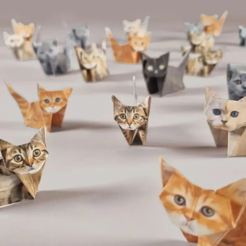 Yaratıcı Kendin Yap Kağıt Kedi - Art Craft Cat incelemesi ve fiyatı