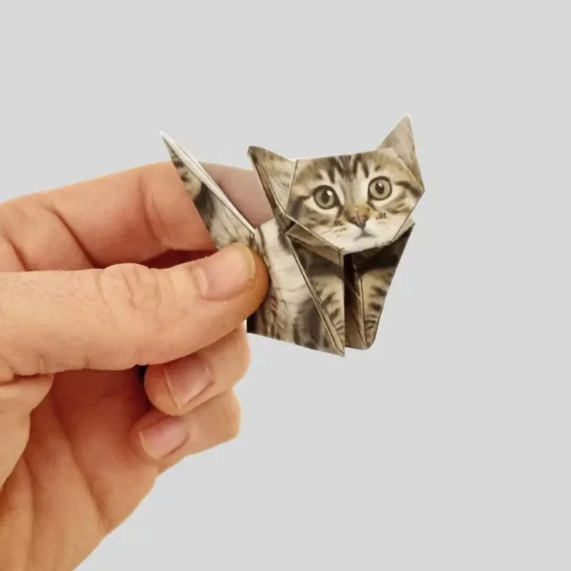 Yaratıcı Kendin Yap Kağıt Kedi - Art Craft Cat incelemesi ve fiyatı