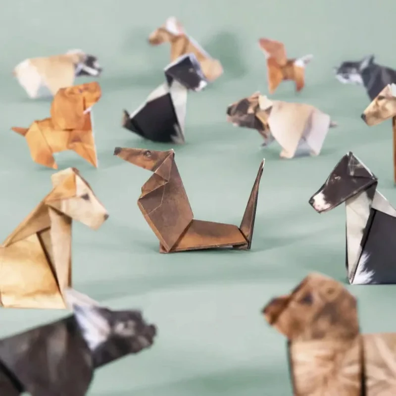 Yaratıcı Kendin Yap Kağıt Kedi - Art Craft Cat incelemesi ve fiyatı