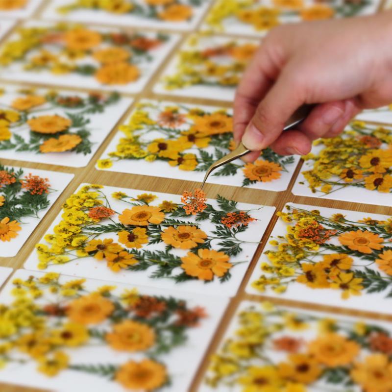 Gerçek Doğal Preslenmiş Kurutu - Art And Craft Nature incelemesi ve fiyatı