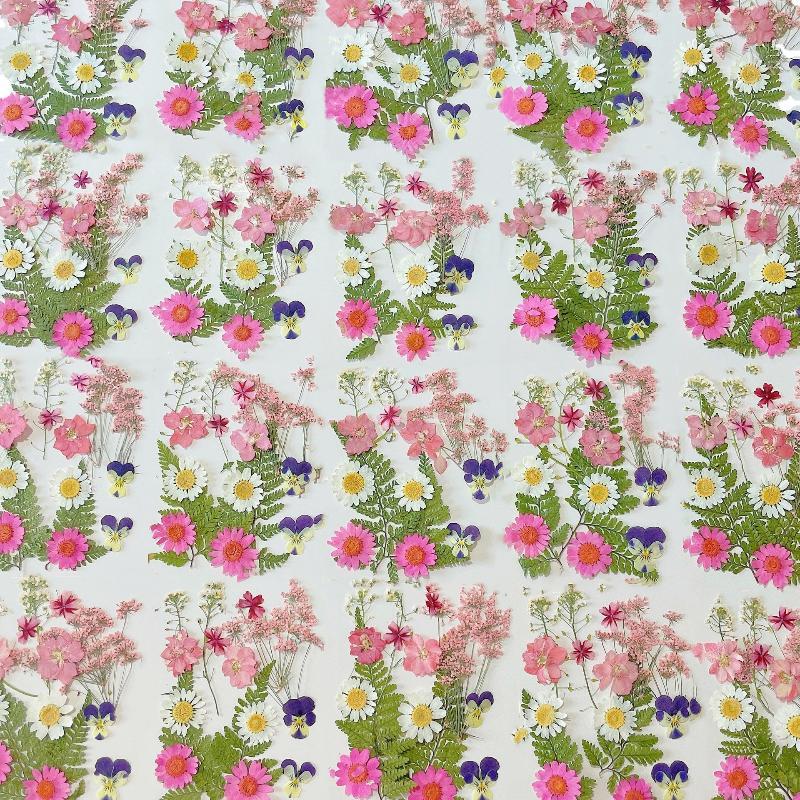 Gerçek Doğal Preslenmiş Kurutu - Art And Craft Nature incelemesi ve fiyatı