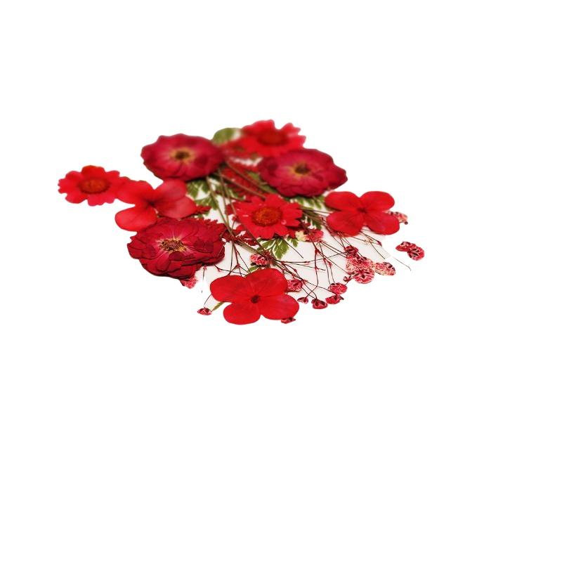 Gerçek Doğal Preslenmiş Kurutu - Art And Craft Nature incelemesi ve fiyatı